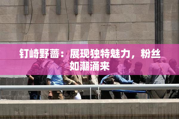 钉崎野蔷：展现独特魅力，粉丝如潮涌来