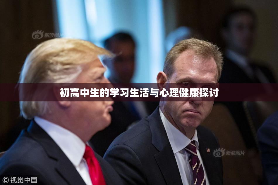 初高中生的学习生活与心理健康探讨