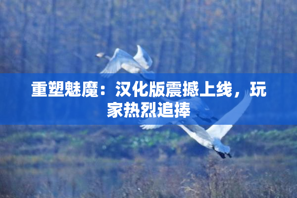 重塑魅魔：汉化版震撼上线，玩家热烈追捧