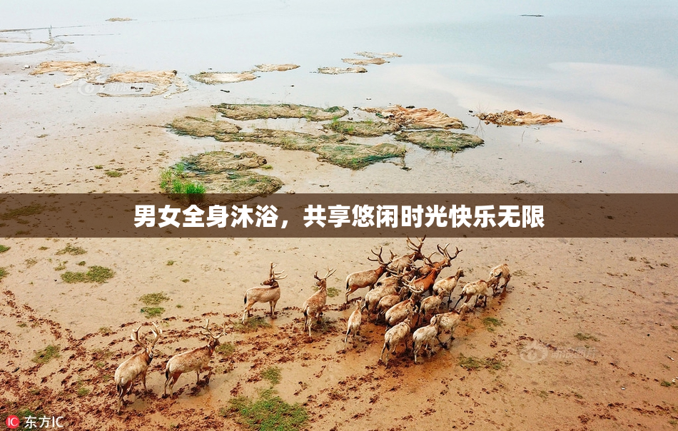 男女全身沐浴，共享悠闲时光快乐无限