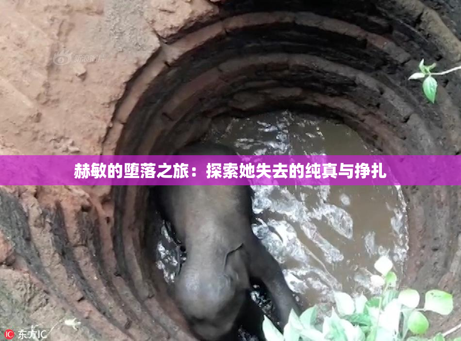 赫敏的堕落之旅：探索她失去的纯真与挣扎