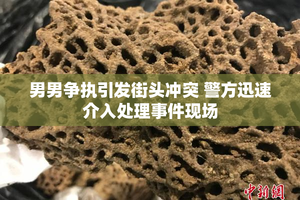 男男争执引发街头冲突 警方迅速介入处理事件现场