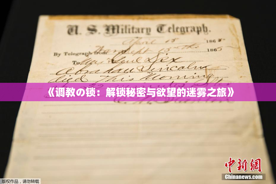 《调教の锁：解锁秘密与欲望的迷雾之旅》