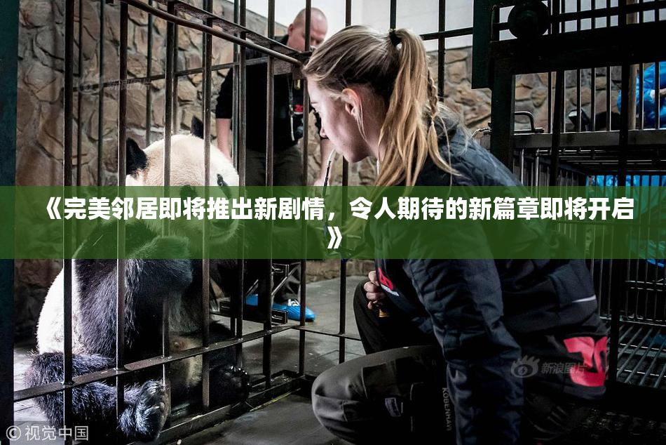 《完美邻居即将推出新剧情，令人期待的新篇章即将开启》