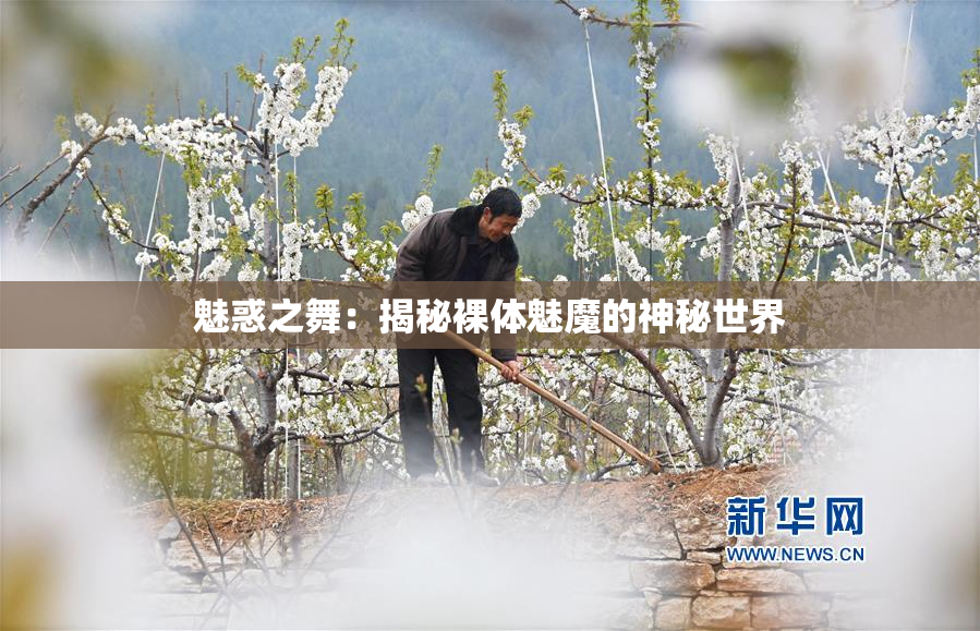 魅惑之舞：揭秘裸体魅魔的神秘世界