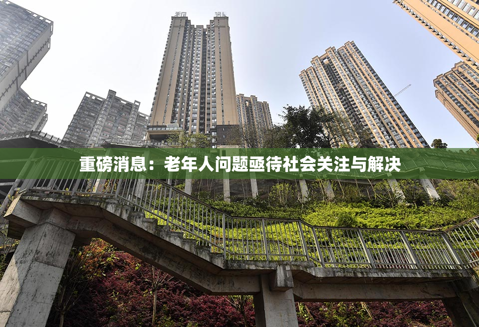 重磅消息：老年人问题亟待社会关注与解决