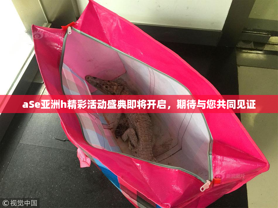 aSe亚洲h精彩活动盛典即将开启，期待与您共同见证
