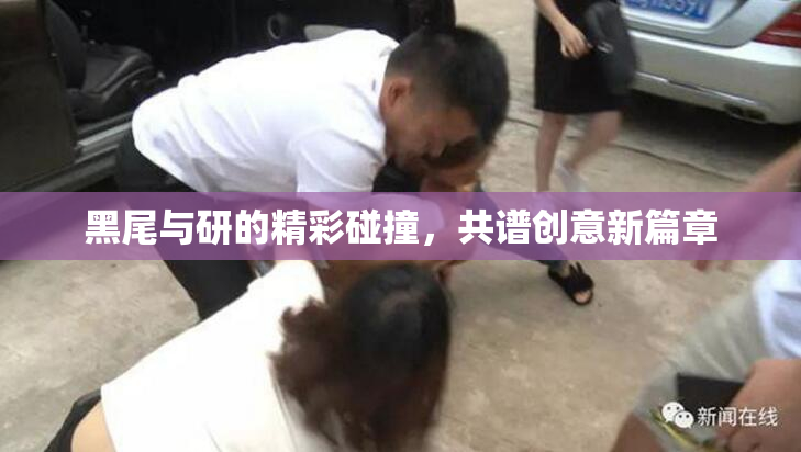 黑尾与研的精彩碰撞，共谱创意新篇章