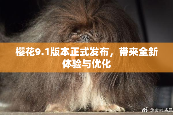 樱花9.1版本正式发布，带来全新体验与优化