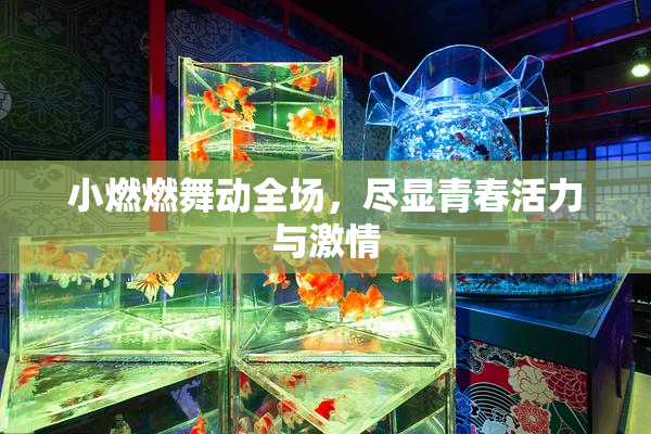小燃燃舞动全场，尽显青春活力与激情