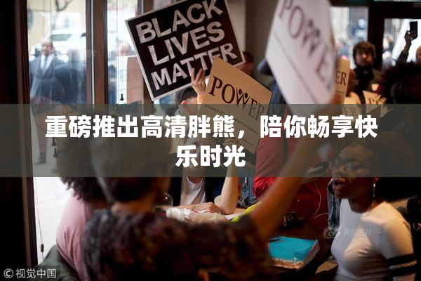 重磅推出高清胖熊，陪你畅享快乐时光