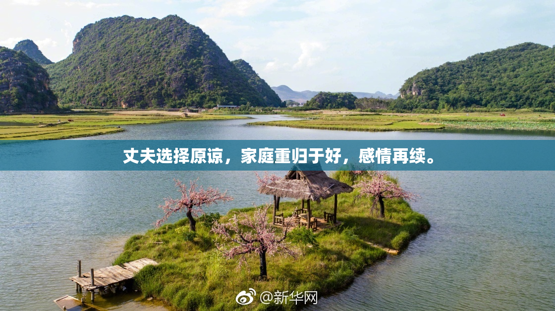 丈夫选择原谅，家庭重归于好，感情再续。