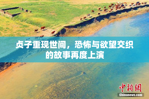 贞子重现世间，恐怖与欲望交织的故事再度上演