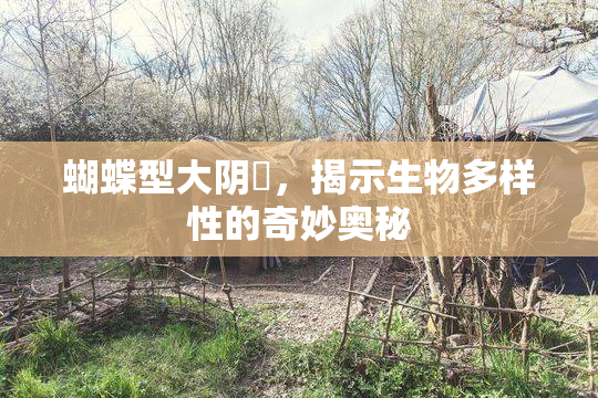 蝴蝶型大阴脣，揭示生物多样性的奇妙奥秘