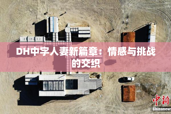 DH中字人妻新篇章：情感与挑战的交织