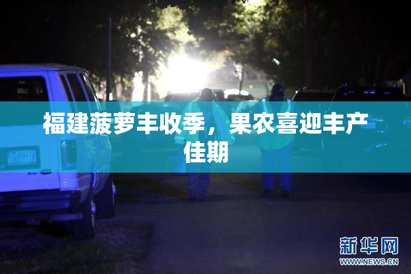 福建菠萝丰收季，果农喜迎丰产佳期