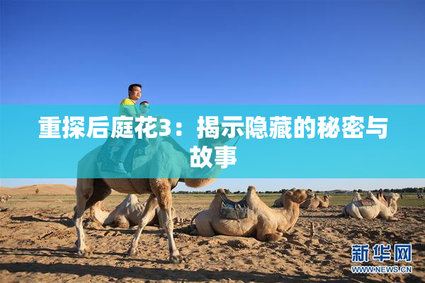 重探后庭花3：揭示隐藏的秘密与故事