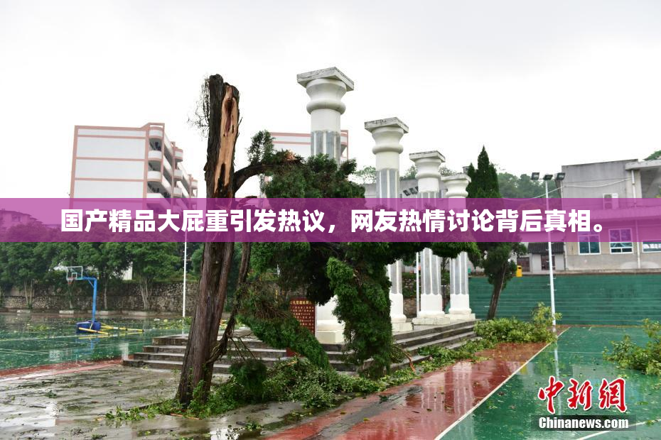 国产精品大屁重引发热议，网友热情讨论背后真相。