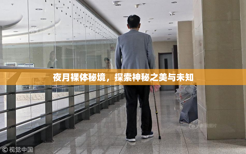 夜月裸体秘境，探索神秘之美与未知
