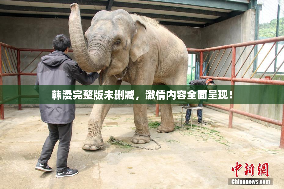 韩漫完整版未删减，激情内容全面呈现！