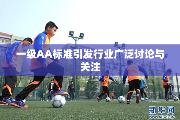 一级AA标准引发行业广泛讨论与关注