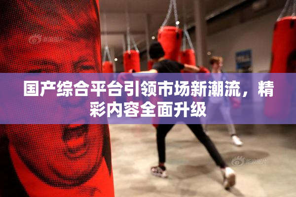 国产综合平台引领市场新潮流，精彩内容全面升级