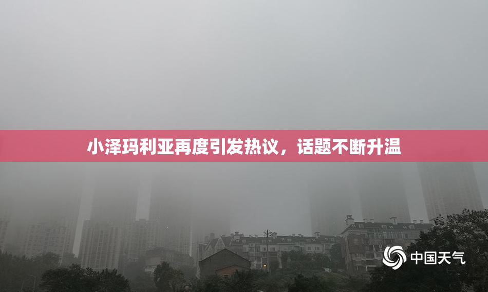 小泽玛利亚再度引发热议，话题不断升温