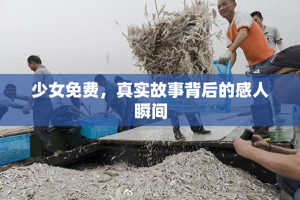 少女免费，真实故事背后的感人瞬间