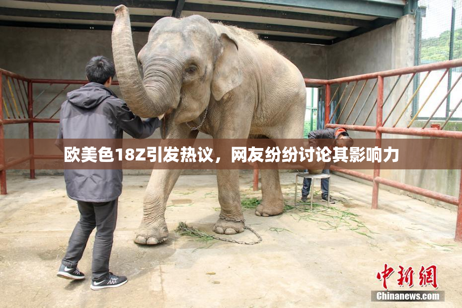 欧美色18Z引发热议，网友纷纷讨论其影响力