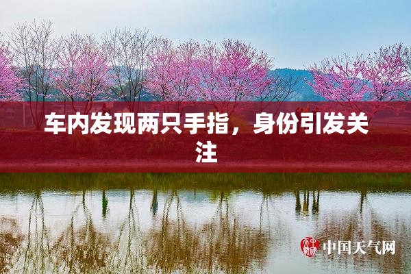 车内发现两只手指，身份引发关注