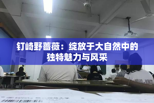 钉崎野蔷薇：绽放于大自然中的独特魅力与风采
