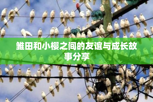 雏田和小樱之间的友谊与成长故事分享