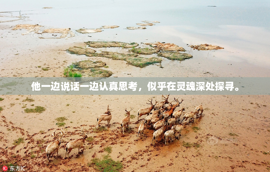 他一边说话一边认真思考，似乎在灵魂深处探寻。