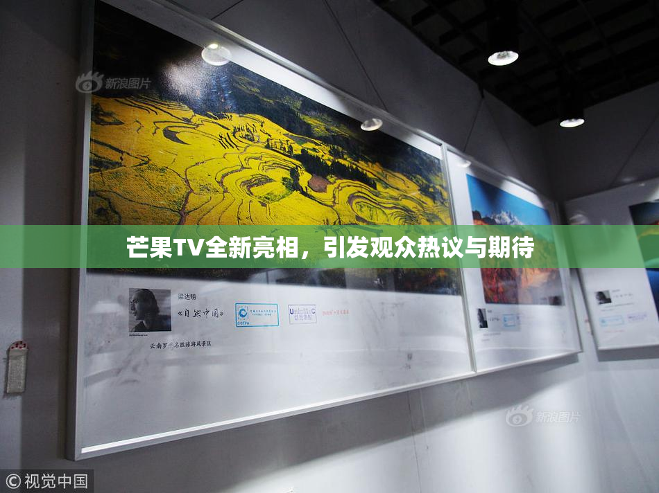 芒果TV全新亮相，引发观众热议与期待