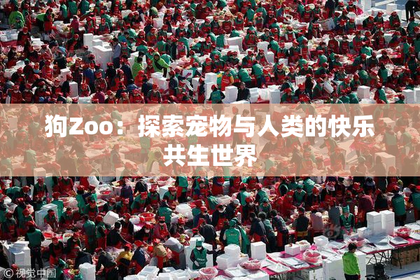 狗Zoo：探索宠物与人类的快乐共生世界
