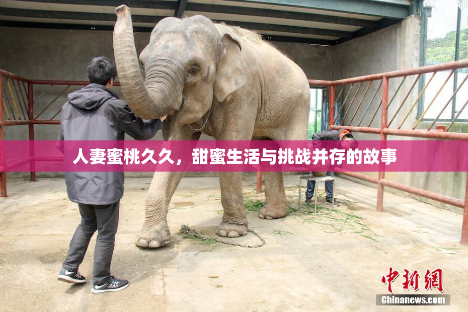 人妻蜜桃久久，甜蜜生活与挑战并存的故事