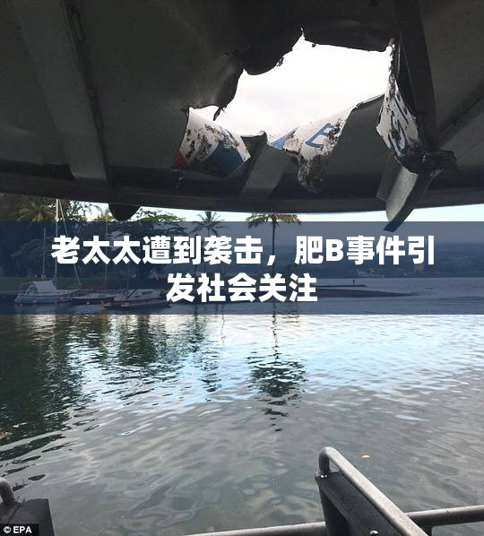 老太太遭到袭击，肥B事件引发社会关注