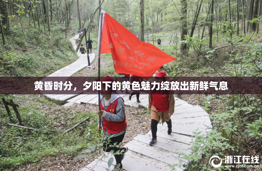 黄昏时分，夕阳下的黄色魅力绽放出新鲜气息