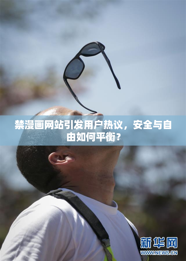 禁漫画网站引发用户热议，安全与自由如何平衡？