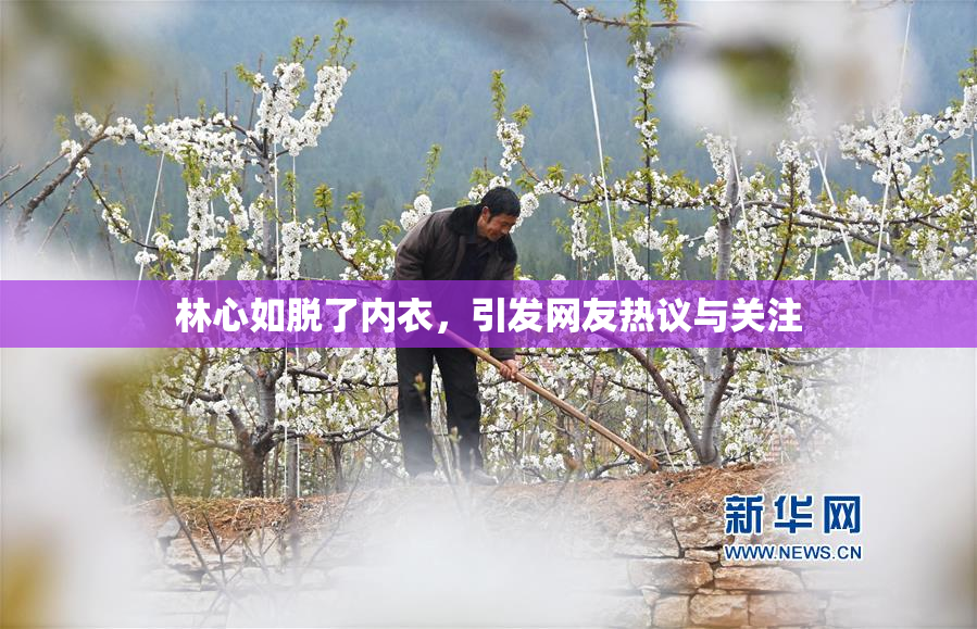 林心如脱了内衣，引发网友热议与关注