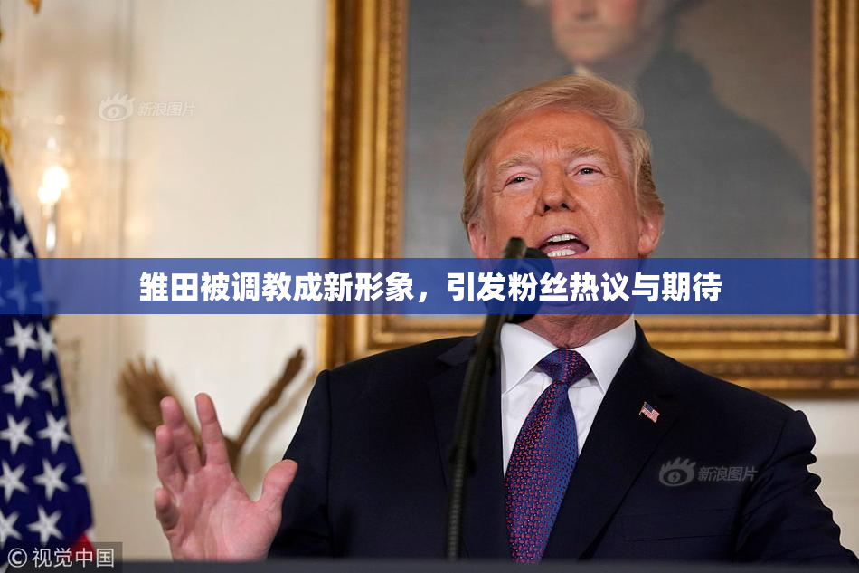 雏田被调教成新形象，引发粉丝热议与期待