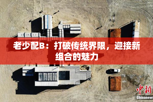 老少配B：打破传统界限，迎接新组合的魅力