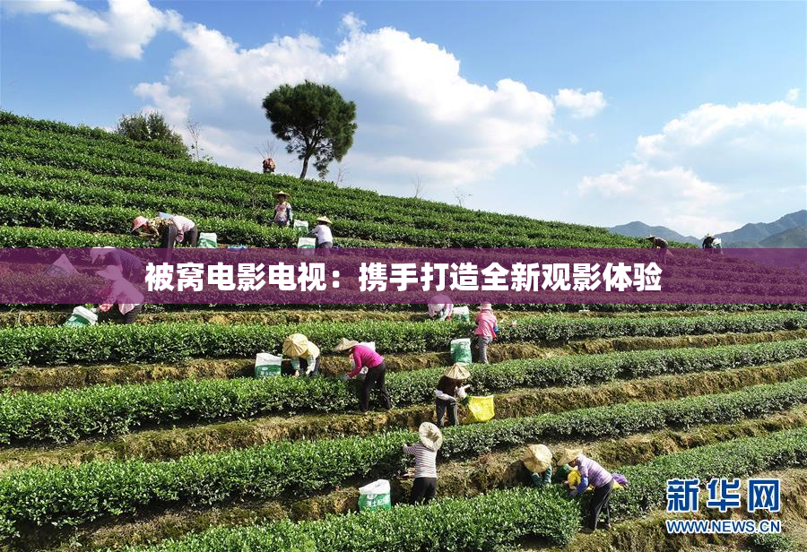 被窝电影电视：携手打造全新观影体验