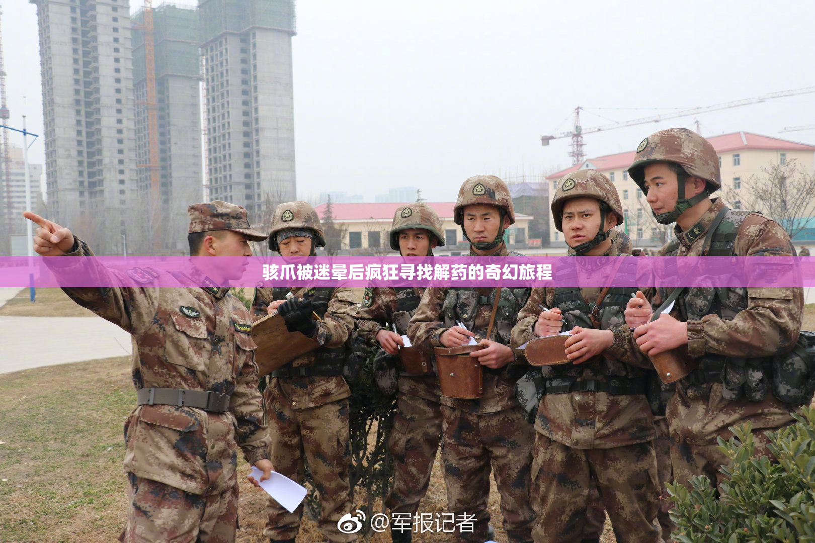 骇爪被迷晕后疯狂寻找解药的奇幻旅程
