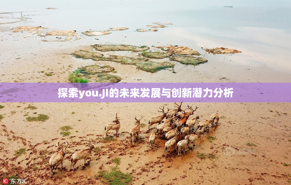 探索you.JI的未来发展与创新潜力分析