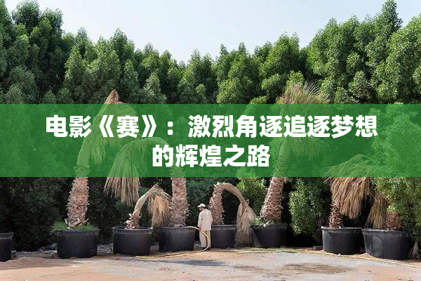 电影《赛》：激烈角逐追逐梦想的辉煌之路