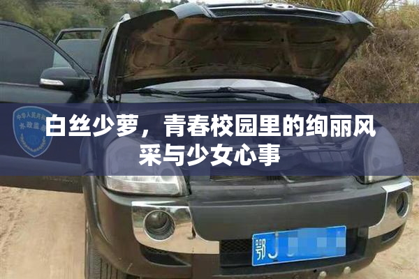 白丝少萝，青春校园里的绚丽风采与少女心事