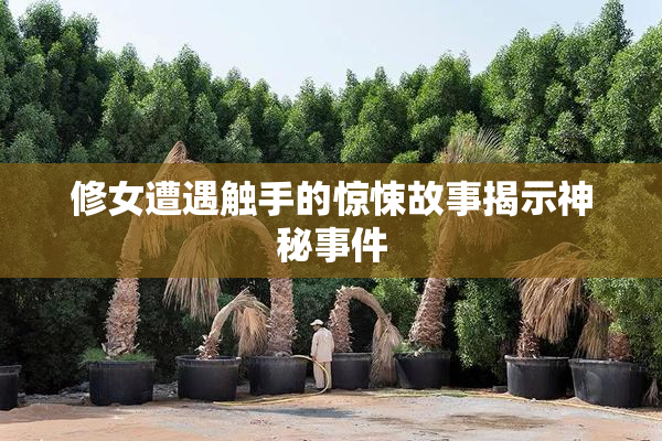 修女遭遇触手的惊悚故事揭示神秘事件