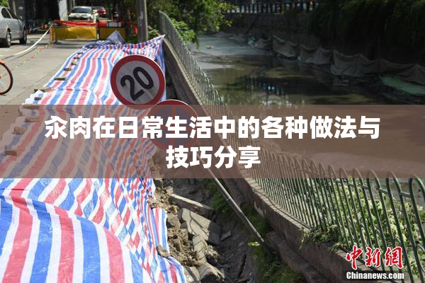 汆肉在日常生活中的各种做法与技巧分享