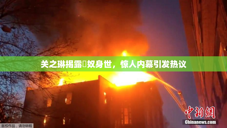 关之琳揭露婬奴身世，惊人内幕引发热议